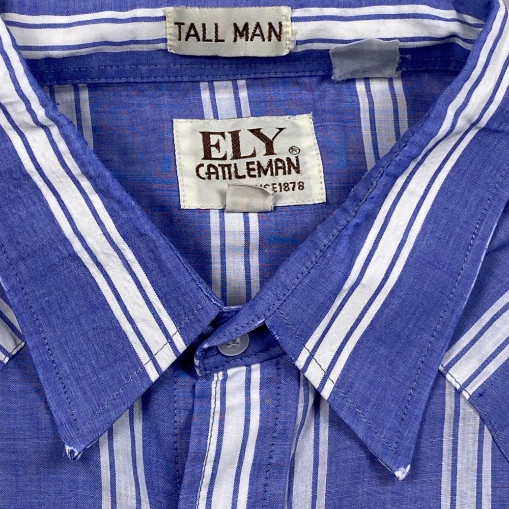 Ely Cattleman Western Shirt Mens 2XL Tall Blue White Striped Pearl Snap Country - Picture 2 of 8